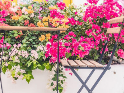 Transforma tu balcón en un oasis urbano