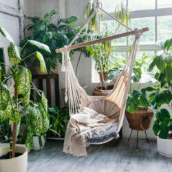 decorar con naturaleza
